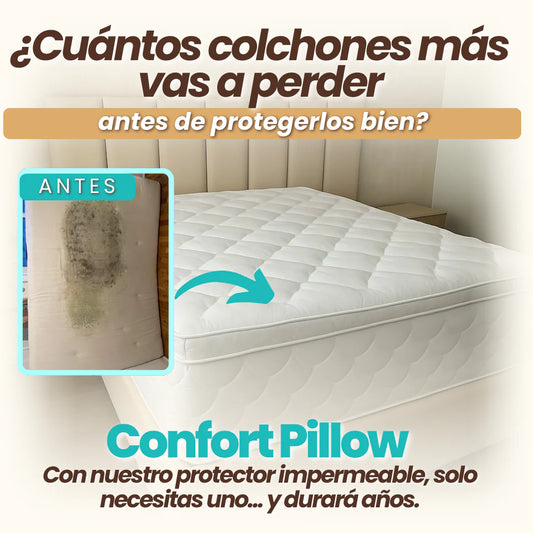 PROTECTOR CONFORT PILLOW